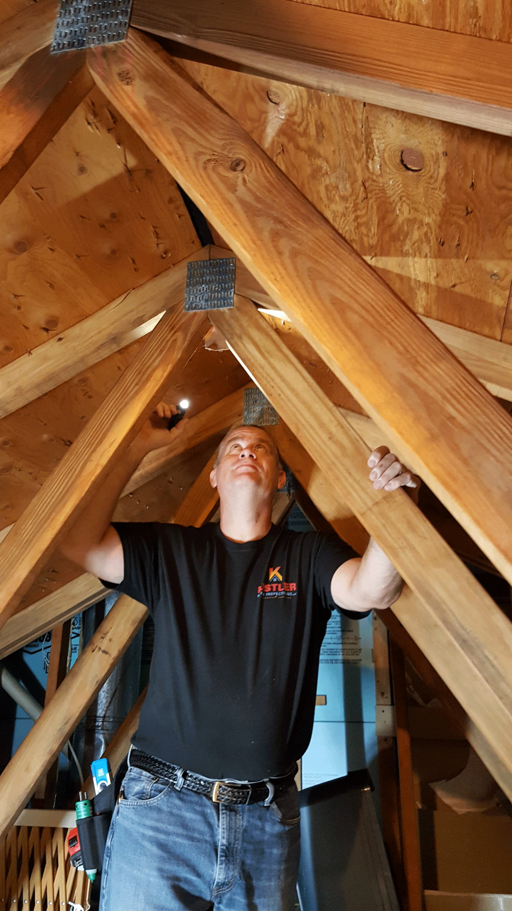 photo inspecting attic